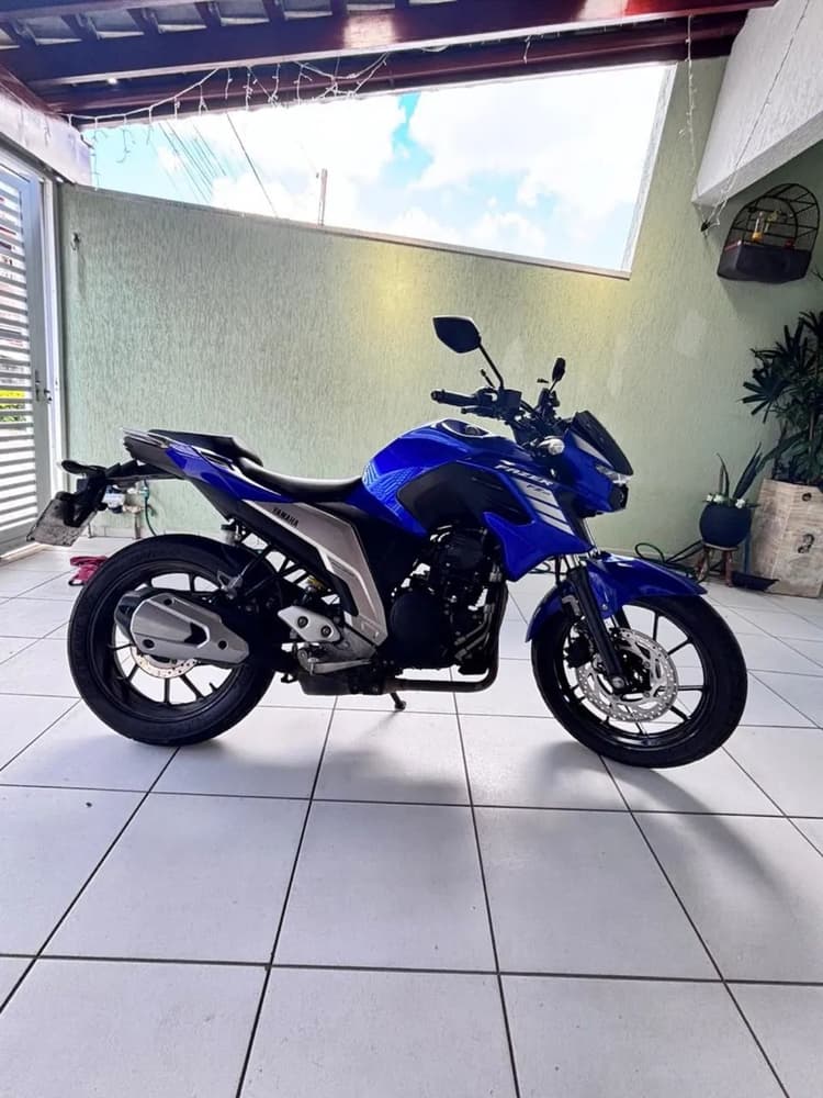 FZ250