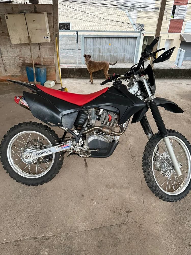 Crf 230 