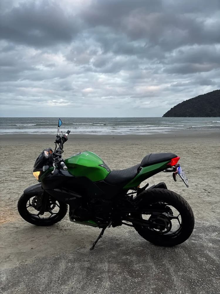 Z300 