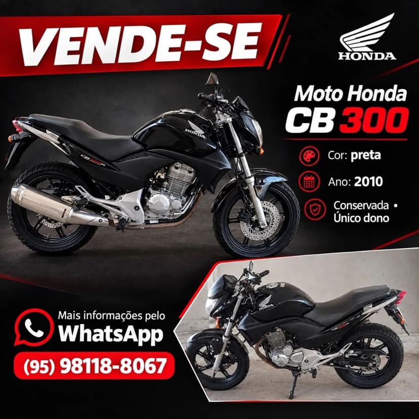 Honda CB 300r/ 300r Flex 2010