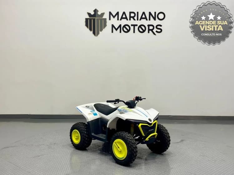 Cfmoto Cforce ev110 2026