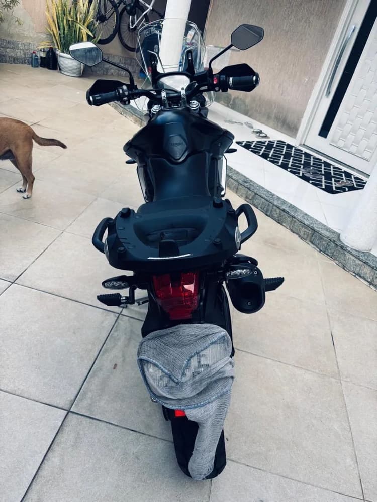 Tiger 800 
