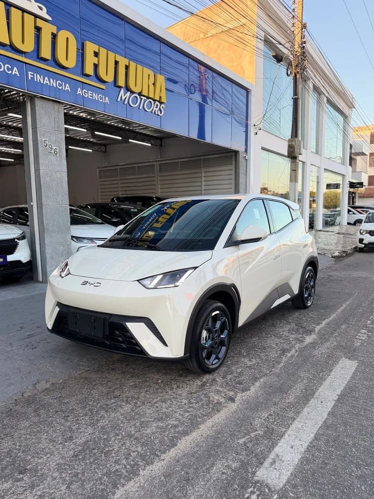 BYD Dolphin Mini GL 2027