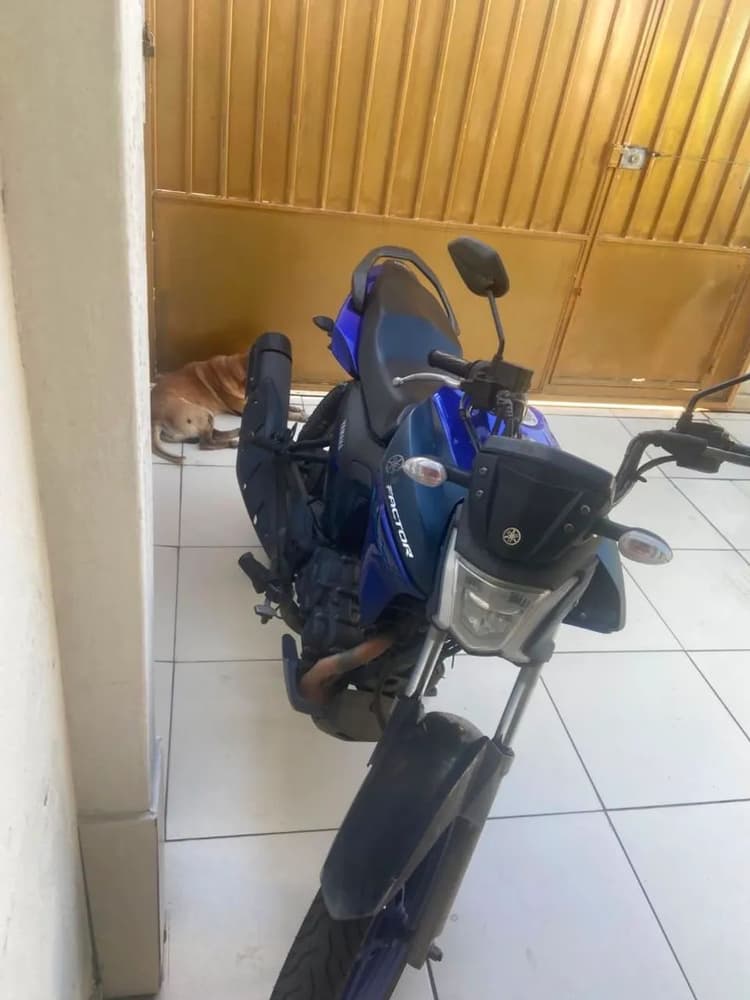 Vendo Factor DX 2025 