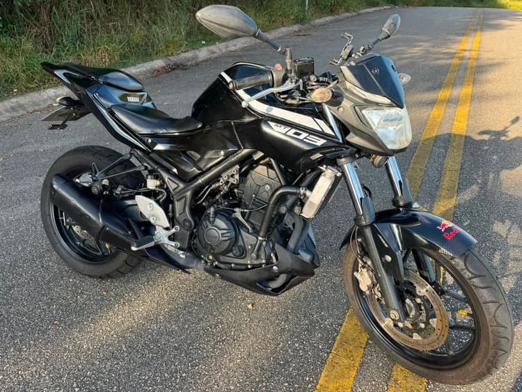 MT 03 2019