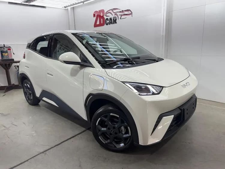 BYD Dolphin Mini (Elétrico) 2027