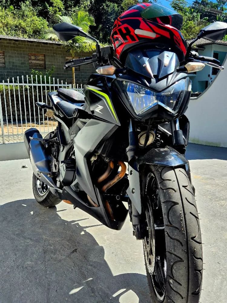 Z300 2019