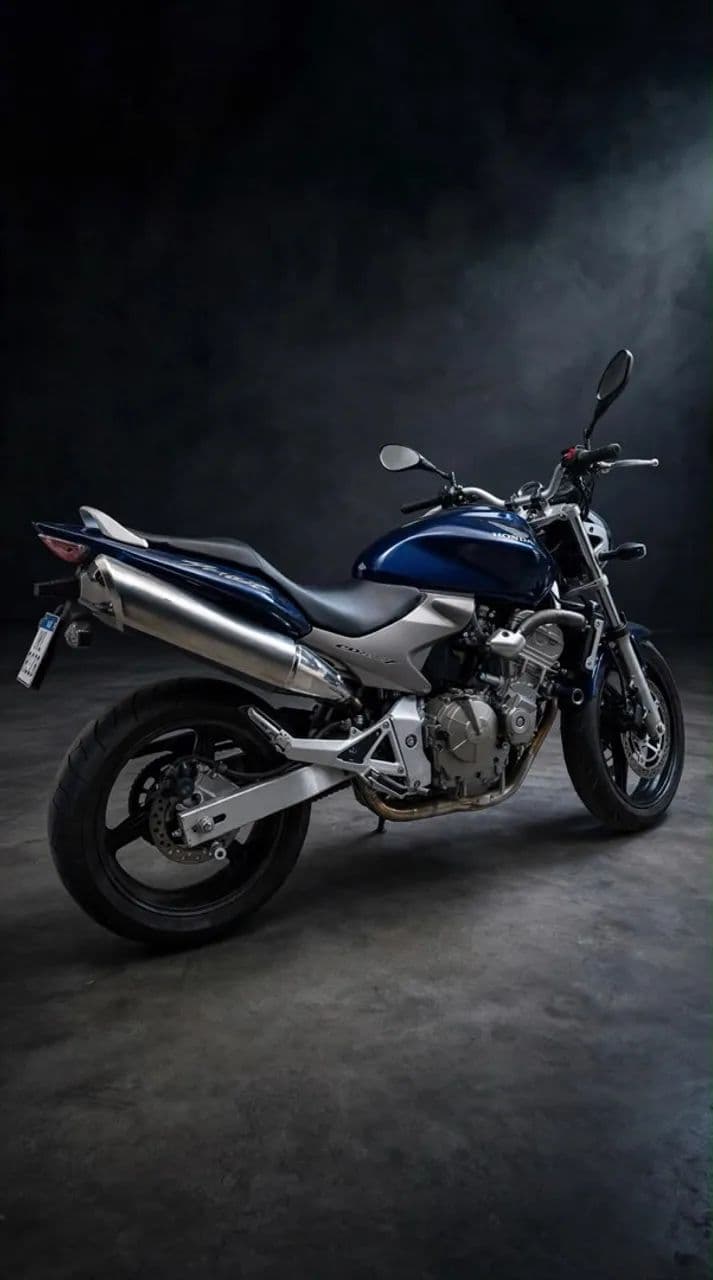 HORNET 600