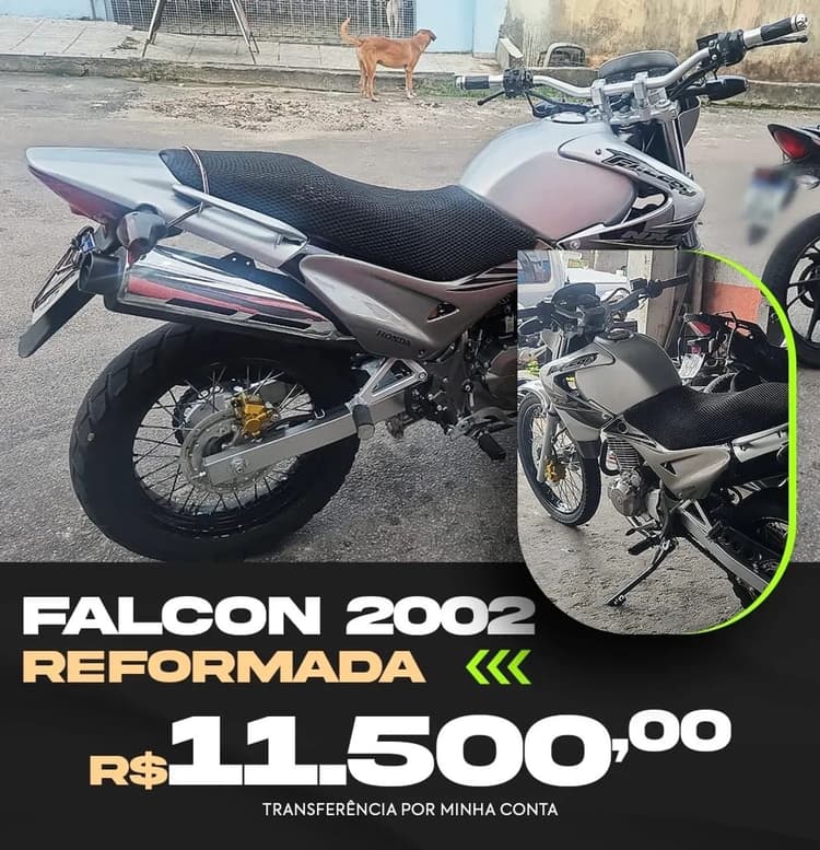 FALCON 2002