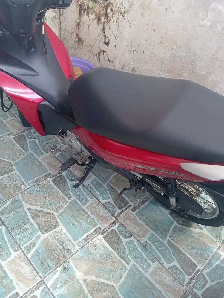 Blz 110