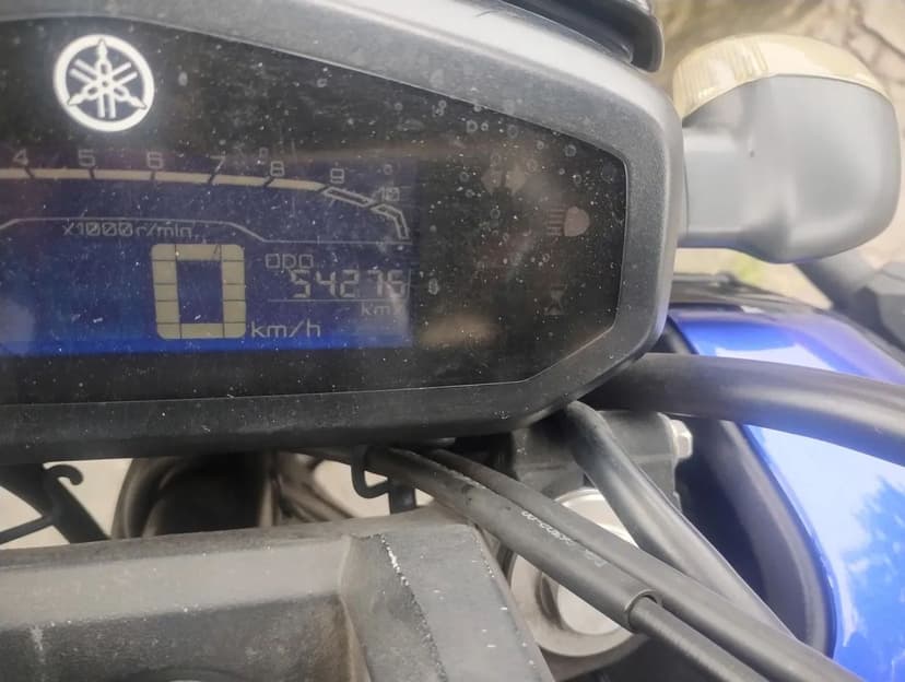 Fz15