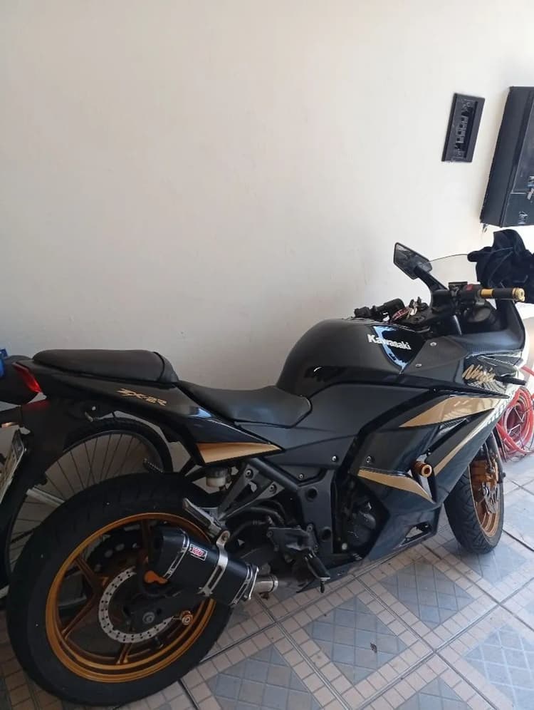 Kawasaki ninja 2010