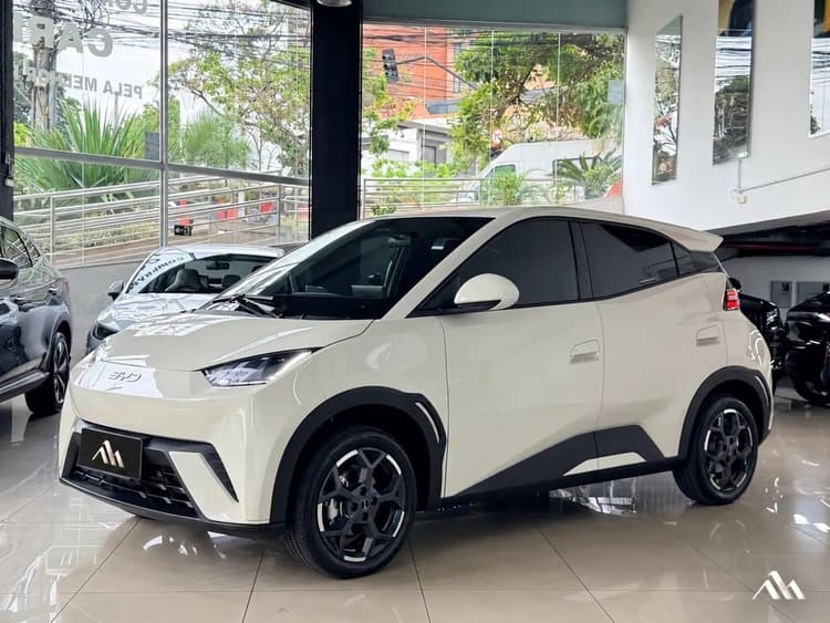 BYD Dolphin Mini (Elétrico) 2027