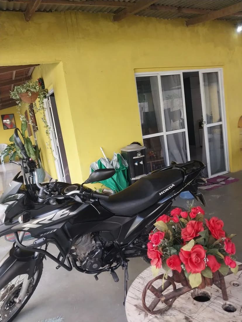 Bem nova