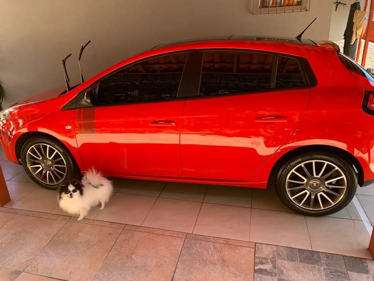 Fiat Bravo Sporting 1.8 Flex 16V 5P 2013