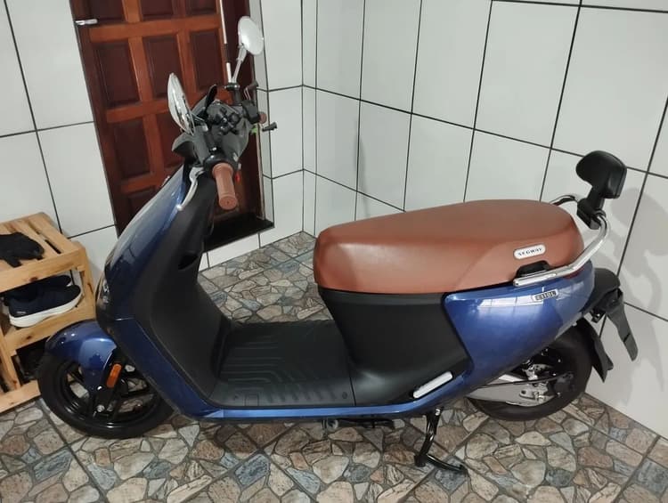 Scooter elétrica Segway e110 L