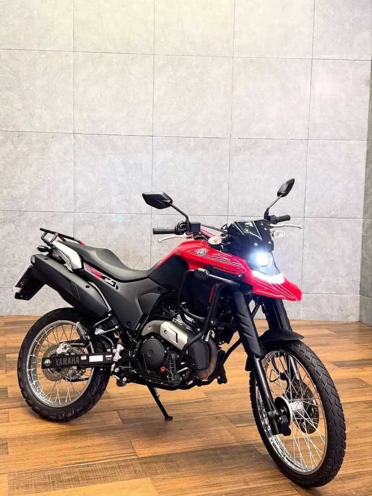 VENDO LANDER 2025 
