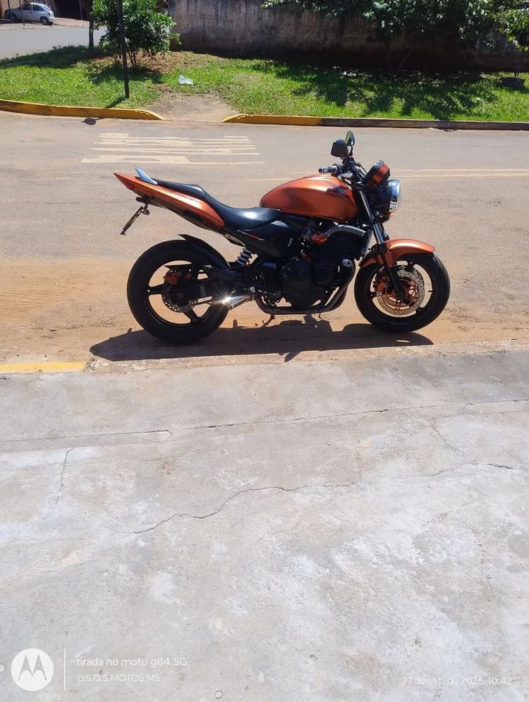 Hornet 