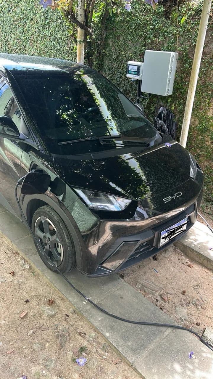 BYD Dolphin Mini (Elétrico) 2024
