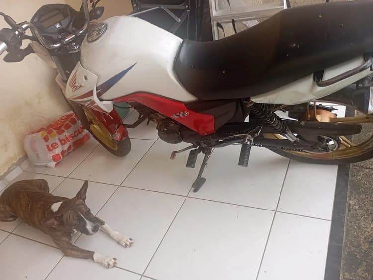 Cg 150