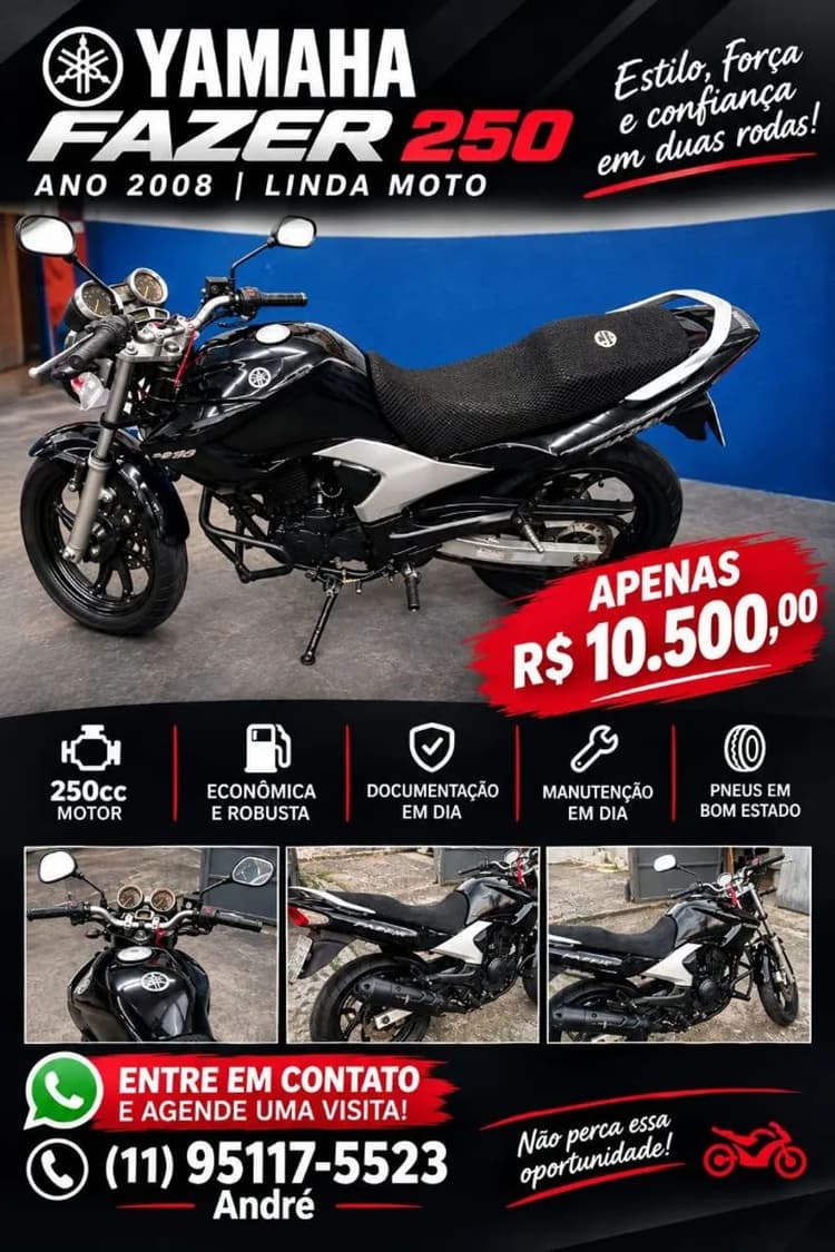 Fazer 250 top
