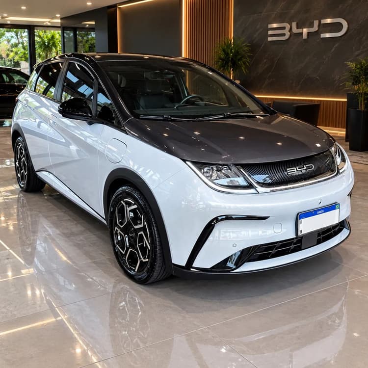 BYD Dolphin Plus (Elétrico) 2024