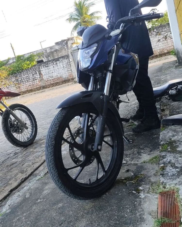 Fan 2025