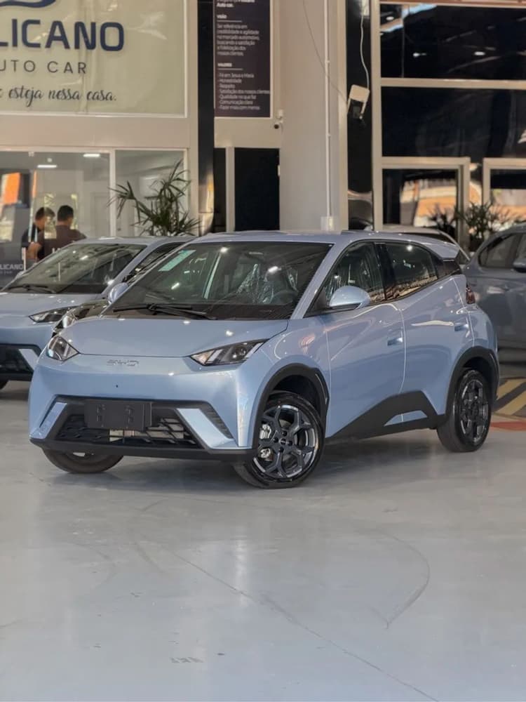 BYD Dolphin Mini (Elétrico) 2027
