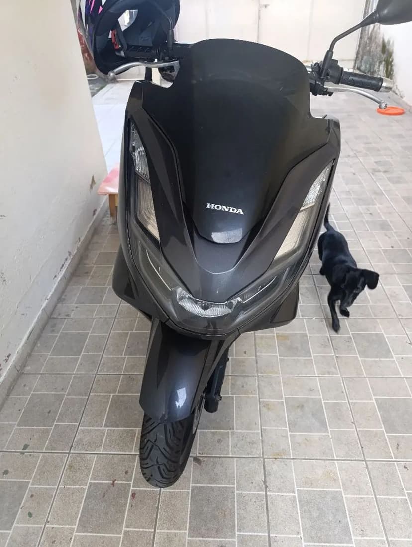 Pcx 