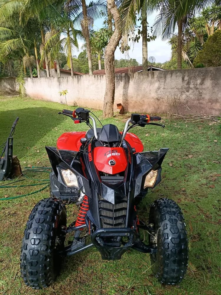 Can am ds 250