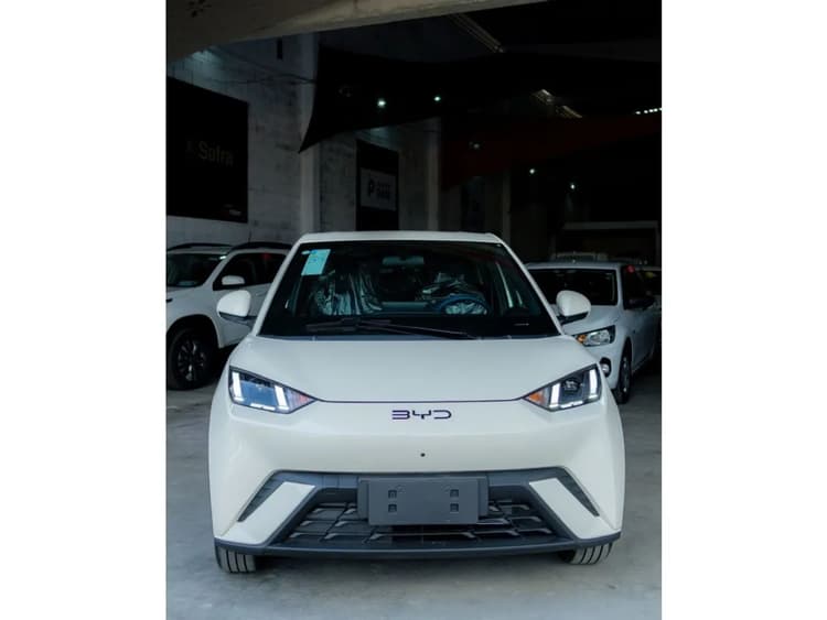 BYD Dolphin Mini (Elétrico) 2027