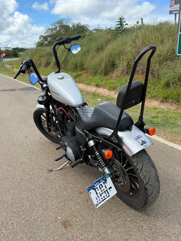 Iron 883 2010