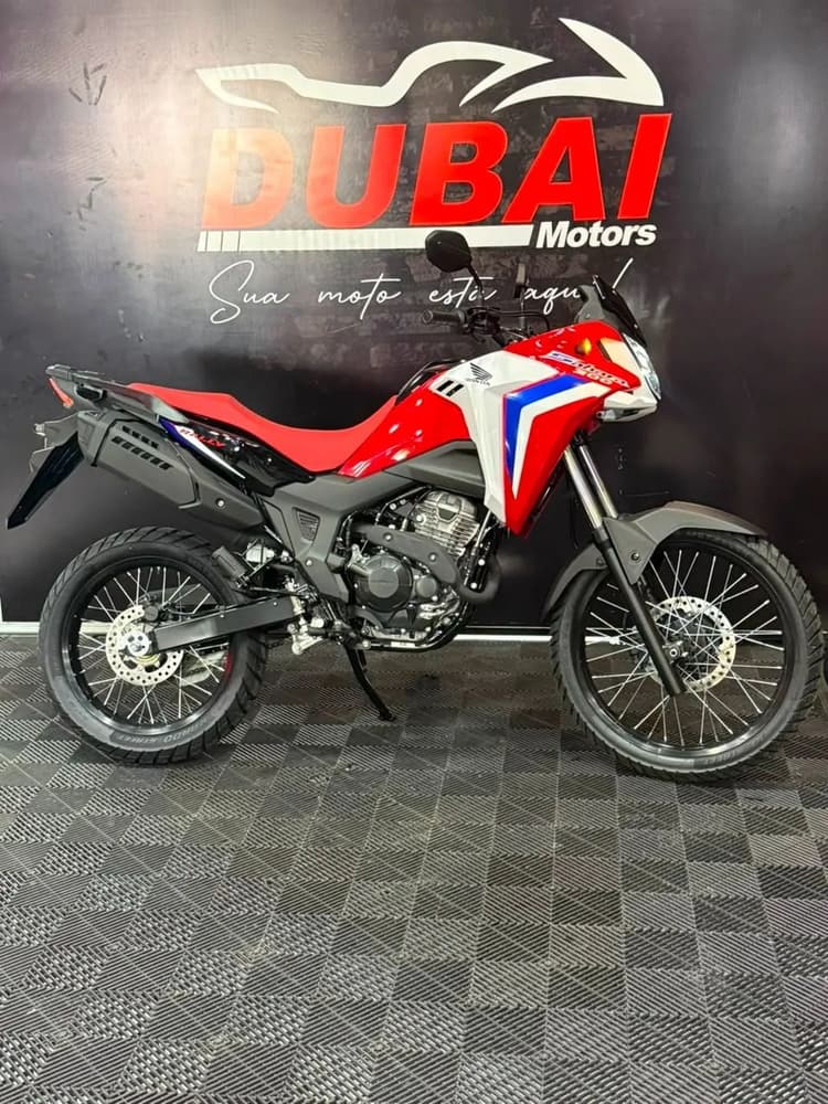 Honda 300 Rally Flex