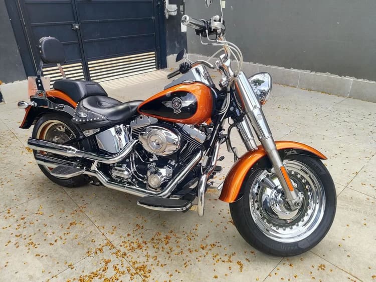 Harley Davidson flstf