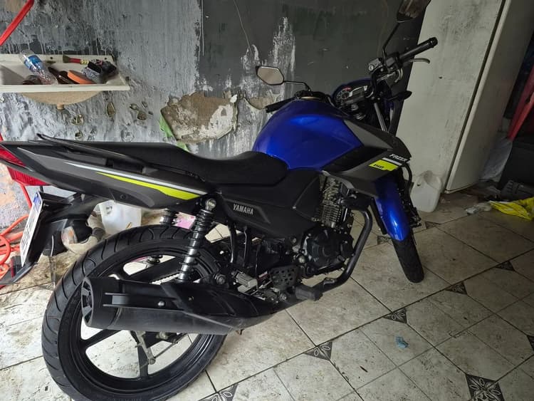 Fezer 150 