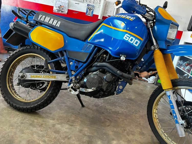 Tenere 600