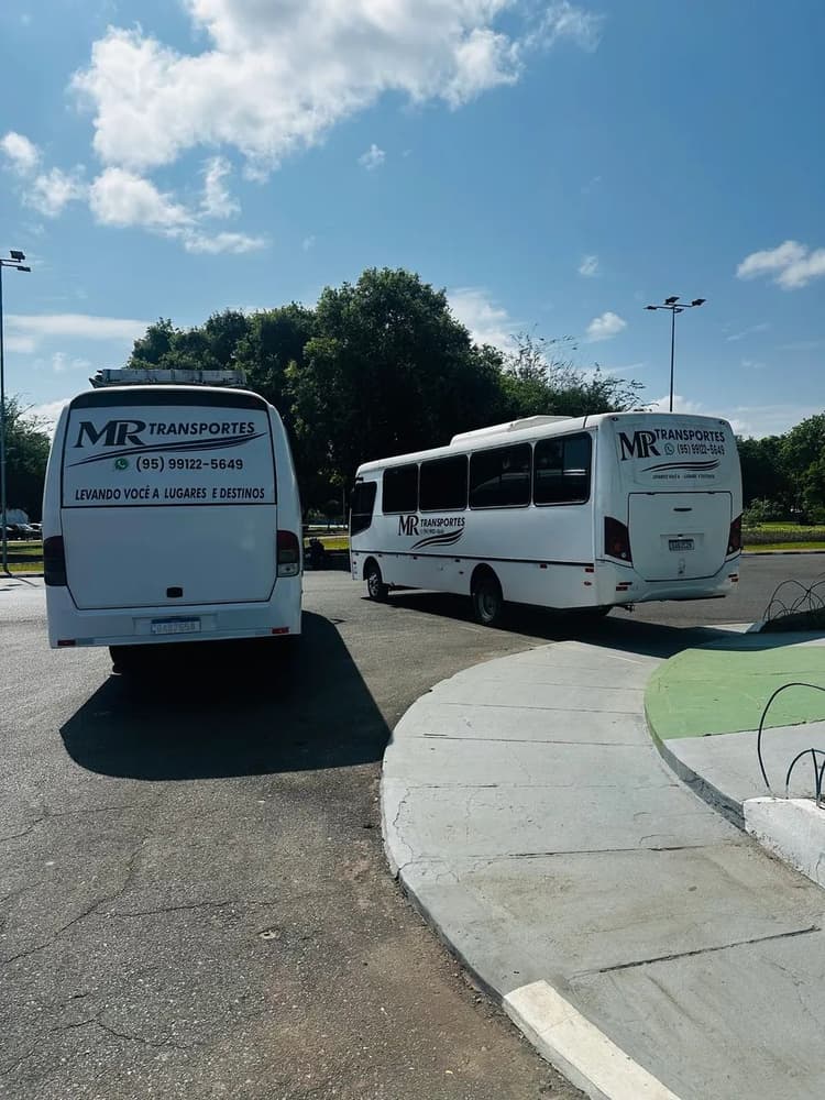 991225649 micro onibus