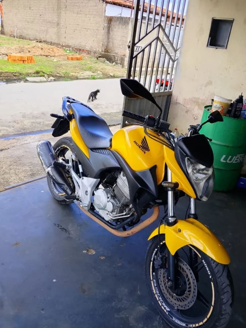CB 300
