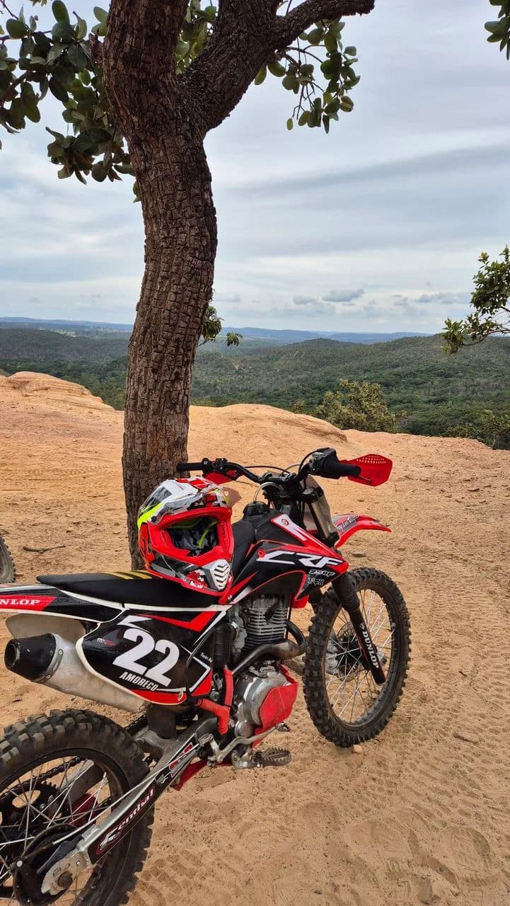 Crf 230 2007