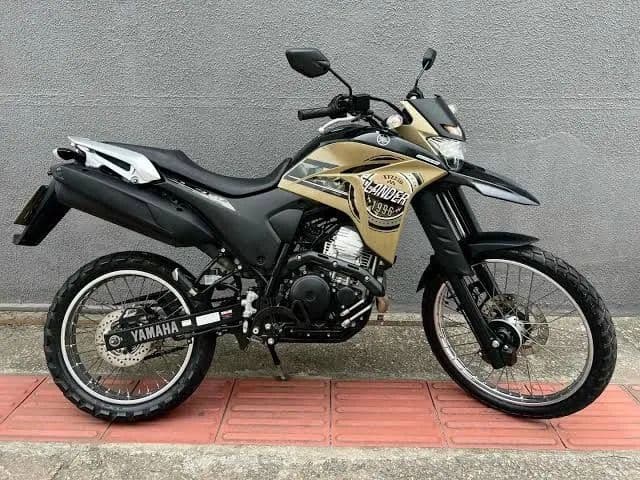 LANDER 250CC FLEX