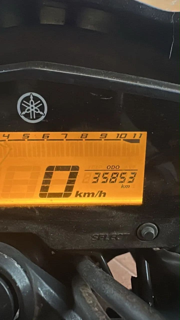 Fz 250 2023