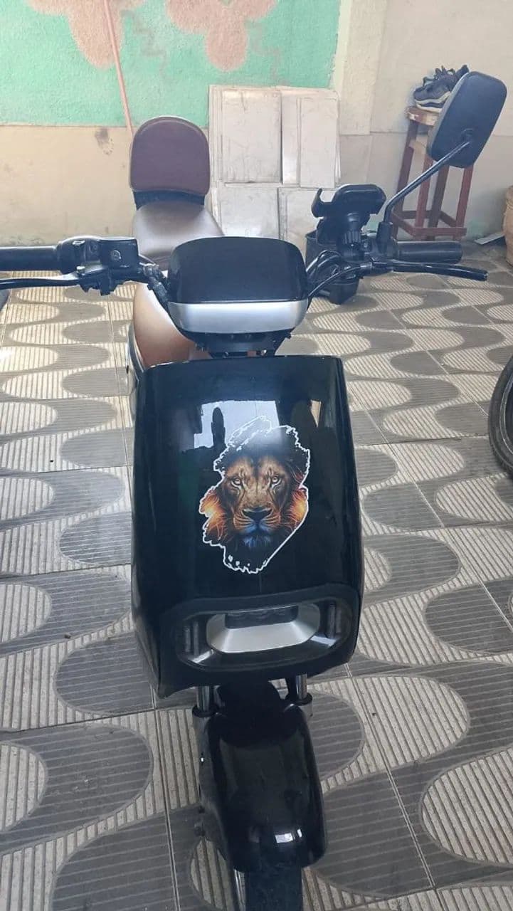 Bom estado 