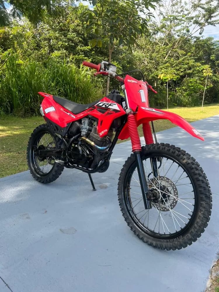 CRF 230 