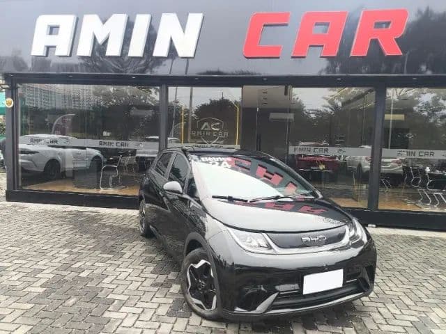BYD Dolphin EV (Elétrico) 2024