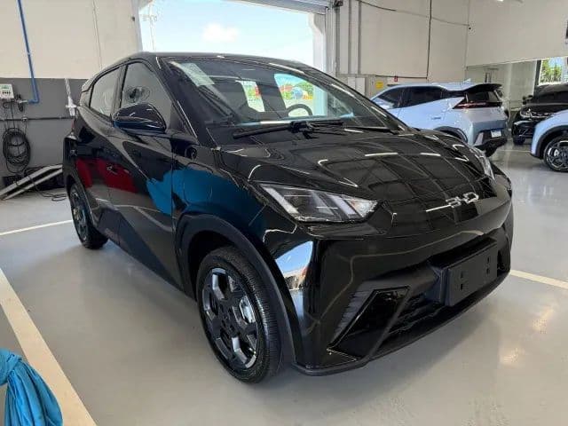 BYD Dolphin Mini (Elétrico) 2027