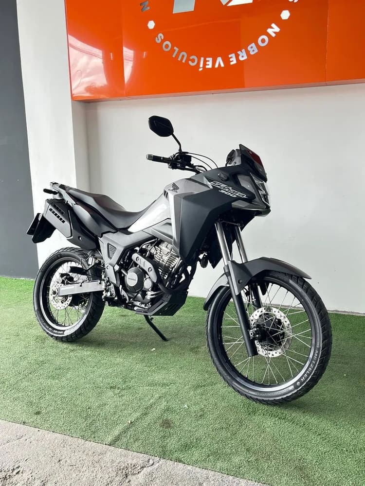 Sahara abs flex 2024 