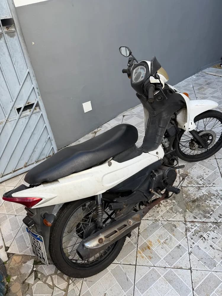 Vendo shynerai