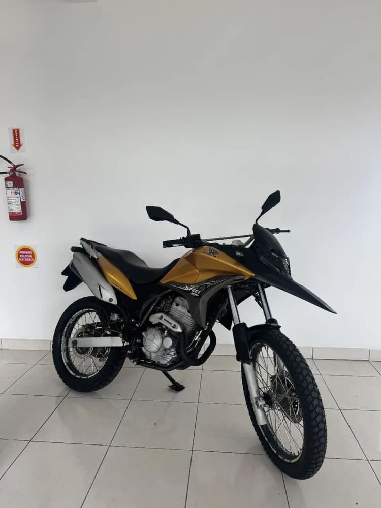 XRE 300/ 300 ABS/ FLEX