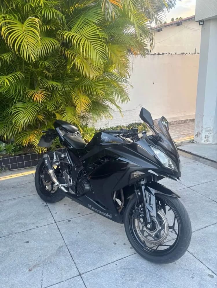 Ninja 300 extra