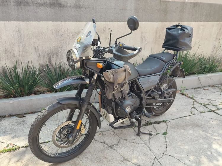 Himalayan segundo dono 